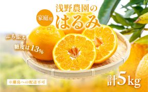 【先行予約】【家庭用】はるみ計5kg※離島への配送不可（2027年2月上旬頃より順次発送予定）IKTAC031