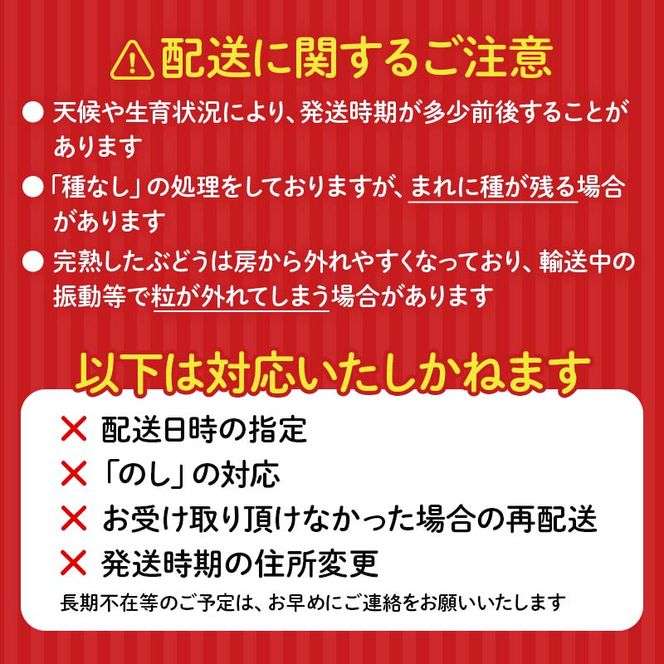【2026年先行予約】シャインマスカット約1kg 石川県加賀市産（ご家庭用） シャインマスカット マスカット ぶどうぶどうぶどう 葡萄 デザート フルーツフルーツフルーツフルーツ 果物 くだもの 果実 食品 F6P-2629