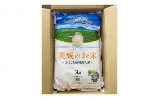 スピード発送!! 【 令和7年産 】 茨城県産 あきたこまち 20kg ( 5kg × 4袋 ) 米 お米 コメ 白米 茨城県 精米 新生活 応援 スピード配送 [DK019ci]