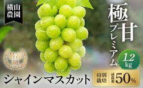 【2026年/令和8年発送＜先行予約＞】特別栽培 減農薬 シャインマスカット 2房 1.2㎏ 先行予約 先行 予約 山梨県産 産地直送 フルーツ 果物 くだもの ぶどう ブドウ 葡萄 シャイン シャインマスカット 新鮮 人気 おすすめ 国産 贈答 ギフト お取り寄せ 甘い 皮ごと 山梨 甲斐市 CF-2