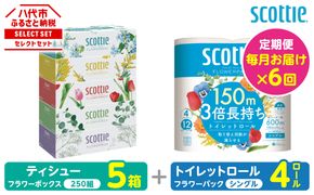 【定期便6回】【毎月お届け】【スコッティ】 組み合わせ ティシュー フラワーボックス 250組 5箱 計30箱 トイレットロール シングル フラワーパック 3倍長持ち 4ロール 計24ロール ティッシュ トイレットペーパー 日用品 防災備蓄 ストック 備蓄 新生活 防災 消耗品 生活用品 日用消耗品 箱ティッシュ 熊本県 八代市