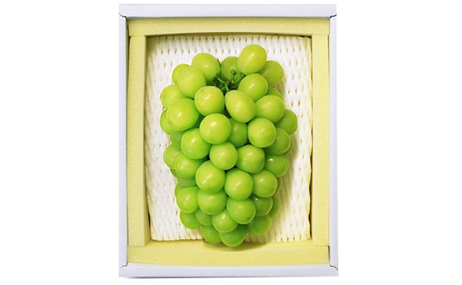 ぶどう 2026年 先行予約 シャイン マスカット 晴王 1房 700g以上 マスカット ブドウ 葡萄  岡山県産 国産 フルーツ 果物 ギフト 環山堂 大粒 種無し 甘い 豊潤 香り 皮ごと 高糖度 贈り物 