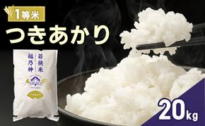 令和7年産 つきあかり 20kg（一等米・神谷農園） 米 お米 若狭町