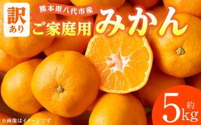 【先行予約】【訳あり】熊本県八代市産 ご家庭用みかん 約5kg 家庭用 蜜柑 ミカン 柑橘 くだもの 果物 デザート おやつ 熊本県 八代市 【2026年9月下旬より順次発送】
