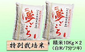 【令和7年産】特別栽培米 20kg【白米、7分ツキ】（夢ごこち）