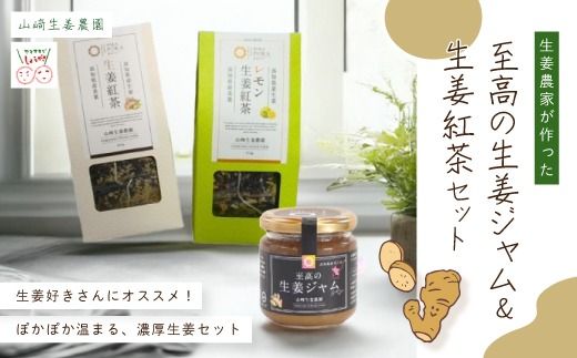 [ 山﨑生姜農園 ] 生姜農家 が作った 至高の 生姜ジャム & 生姜紅茶 セット 生姜 しょうが ショウガ ジンジャー ジャム 濃厚 きび糖 加工品 食品 グルメ ティーパック 茶葉 お茶 紅茶 おいしい ドリンク 飲料 高知県 高知 四万十市 四万十 しまんと 25-745