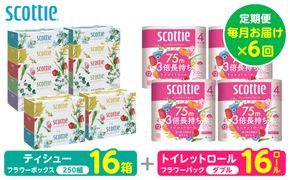 【定期便6回】【毎月お届け】【スコッティ】 組み合わせ ティシュー フラワーボックス 250組 16箱 計96箱 トイレットロール ダブル フラワーパック 3倍長持ち 16ロール 計96ロール ティッシュ トイレットペーパー 日用品 ストック 防災備蓄 ストック 備蓄 新生活 防災 消耗品 生活用品 日用消耗品 箱ティッシュ