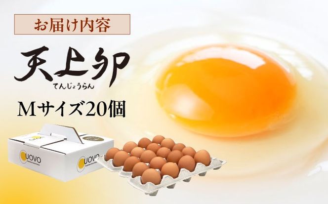 こだわりの卵「天上卵」20個セット 糸島市 / 糸島ファームハウスUOVO【おおはまファーム】 [AKH001] 鶏卵 卵 平飼い 平飼い卵 玉子 たまご 高級 新鮮 自然 自家配合飼料