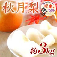 秋月梨 約3kg（4～12玉）【梨 なし 果物 フルーツ デザート 食後 熊本県産】※配送不可：離島