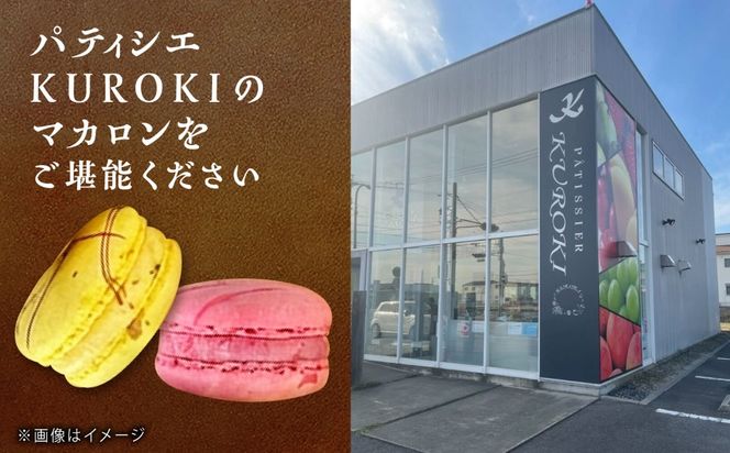 マカロン 10個  お菓子 愛西市 / 有限会社モンシェリー 【配達不可：離島】[AEBB019]