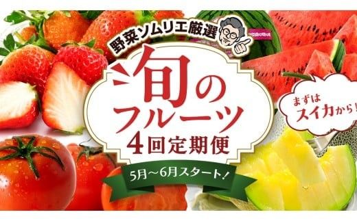 【 野菜ソムリエ 厳選 】 旬 の フルーツ 定期便 ( こだまスイカ スタート ) 4回 先行予約 果物 いちご イチゴ 苺 とちおとめ やよいひめ かおり野 すいか ピノガール トマト フルーツトマト メロン アールスメロン 新鮮 おすすめ ソムリエ 野菜 [AF101ci]