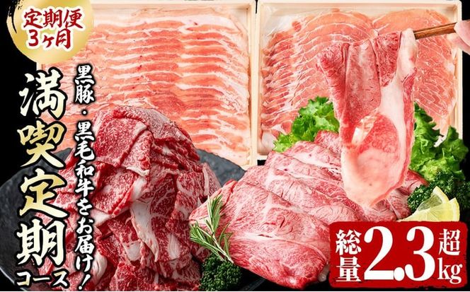 【定期便全3回】黒毛和牛・黒豚をお届け！＜黒毛和牛・黒豚 満喫定期コース＞計2.3kg超 t0041-003