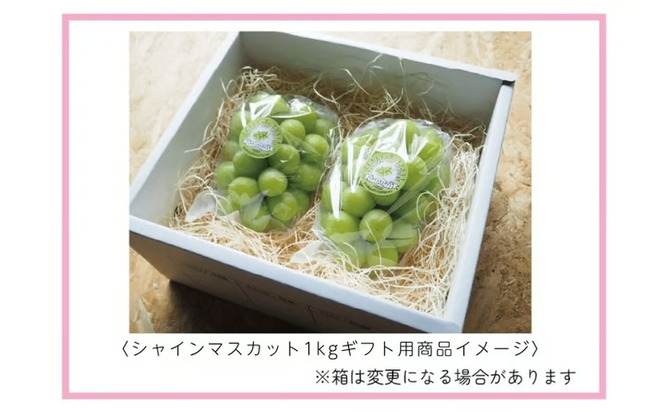 【2026年先行予約】 ここちとふぁーむ 【ギフト】 岡山県産 シャインマスカット 2～3房 1kg以上 【koko001-02】