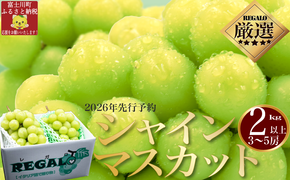 【2026年発送分 先行予約】頬張る幸福感　～緑の宝石・シャインマスカット～　２ｋｇ以上（３～５房） フルーツ 山梨県産 果物 シャイン マスカット ぶどう ブドウ 大粒 種なし 種無し 先行予約 富士川町