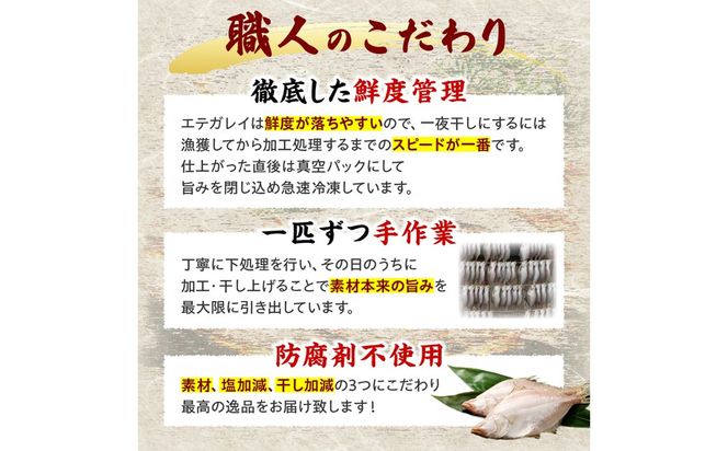 【店主一押し！絶品干物！高リピート！】エテカレイ一夜干し　大サイズ（夕食サイズ）5枚　YK00154