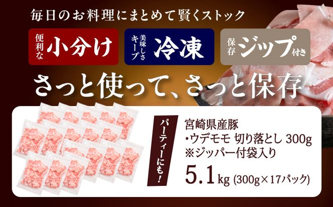 宮崎県産豚切り落とし5.1kg(ジッパー付袋入り)_18-1507