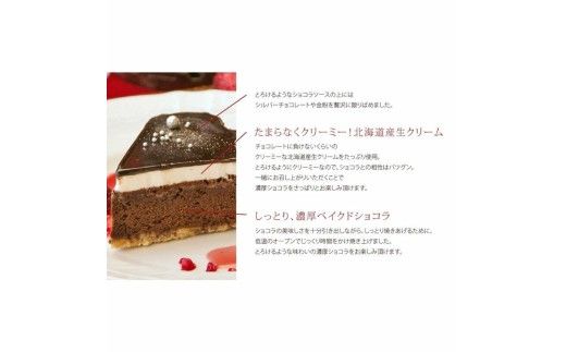 お誕生日ケーキ　星空のショコラ 5号 4-6人分　パティスリー天使のおくりもの ※離島への配送不可
