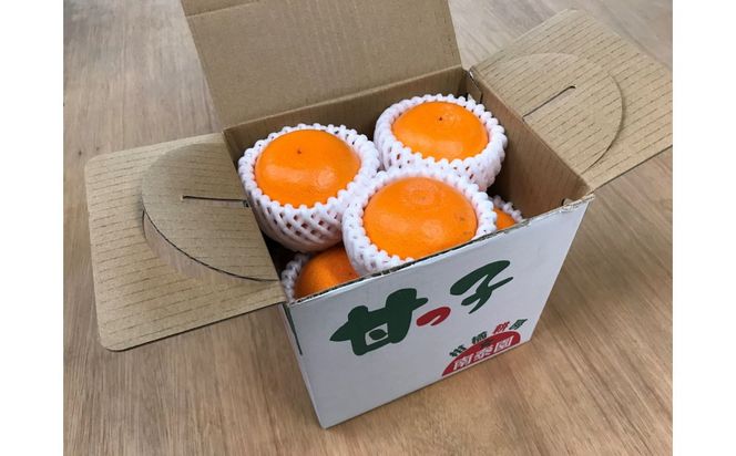 ［4箱セット］甘っ子 小玉 ハウス せとか 9玉入 × 4箱 手さげ箱 南泰園 BS174