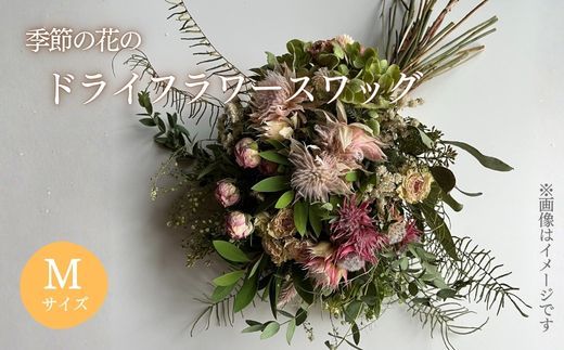 yÉxSRz1F14G߂̉Ԃ̃hCt[@XbO MTCY