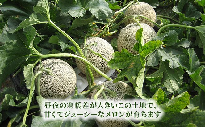 【2026年7月～発送】北海道 富良野産 厳選 赤肉 メロン 2玉 計約3.2kg(吉中農園) メロン フルーツ 果物 新鮮 甘い 贈り物 ギフト 道産 ジューシー おやつ ふらの ブランド 夏 