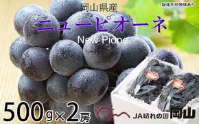 ぶどう 2026年 先行予約 ニュー ピオーネ 約500g×2房 ブドウ 葡萄  岡山県産 国産 フルーツ 果物 ギフト 果物類 ニューピオーネ 酸味 大粒 種なし 人気 高糖度 甘い 果汁 
