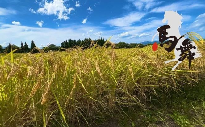 魚沼産コシヒカリ「馬舞」玄米5kg お米 こしひかり 新潟 