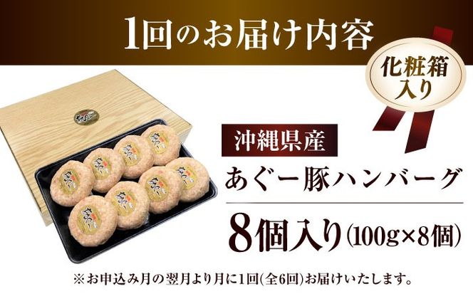 【全6回定期便】沖縄県産あぐー豚ハンバーグセット 800g (100g×8個) 豚 ハンバーグ 冷凍 ギフト お取り寄せ 沖縄市 / お肉屋本店[BCAZ010]