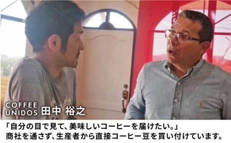 【年内発送】中煎り コーヒー 豆 250g × 2袋 （ 豆 ・ 粉 選べます ） ニカラグア産 ラベンディション農園 マラカツーラ種 ナチュラル 《糸島》 【COFFEE UNIDOS】 [AQF001] 珈琲 カフェ コーヒー粉