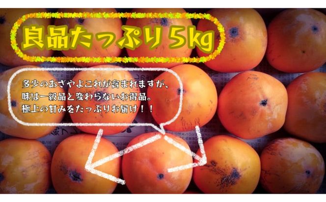 【先行予約】【鳥取市産・良品】花御所柿 約5kg｜甘柿最高クラスの糖度 追熟でとろける食感 和製マンゴーとも称される希少ブランド柿 312011_GN005