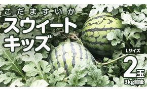 【 地下水100％栽培 】 こだますいか 「 スウィートキッズ 」 2玉入り 先行予約 スウィートキッズ すいか スイカ 小玉スイカ こだまスイカ 西瓜 フルーツ 果物 [DU002ci]