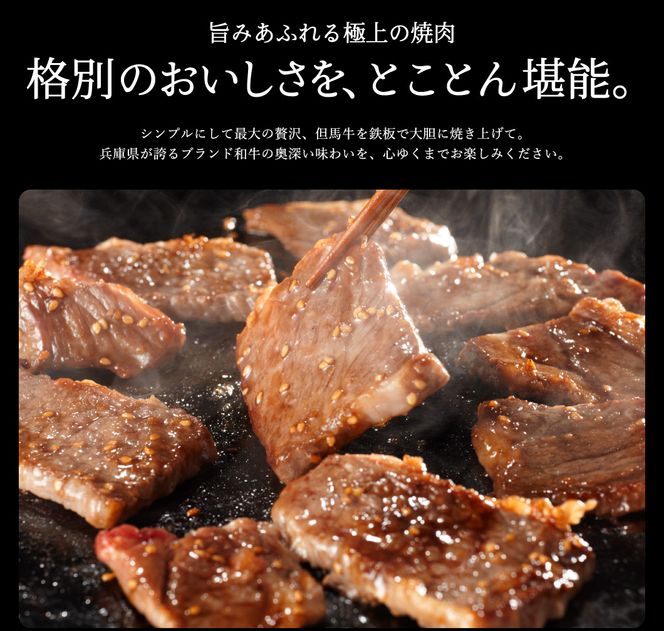 【累計2万パック突破！】但馬牛経産牛　焼肉用（肩・モモ）500ｇ 010AA05N.／焼肉セット 黒毛和牛 いちかわ精肉店 経産牛 牛肉 国産 bbq バーベキュー 焼き肉セット アウトドア キャンプ 冷凍 焼き肉用