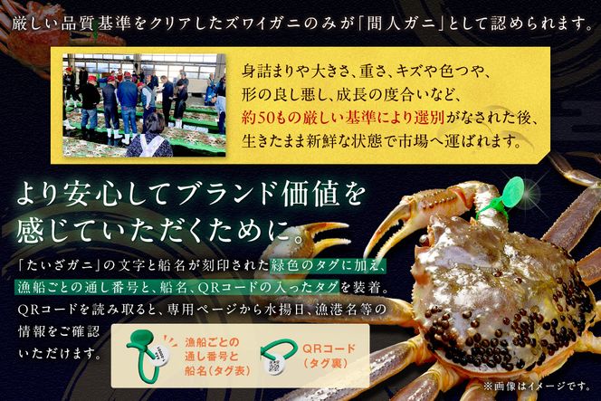 かに卸し問屋がお届け・浜競り厳選！幻の活間人ガニ 800ｇ～900ｇ 大サイズ（1月～3月発送）／北畿水産　HK00304