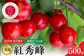 【2025年産　先行予約】紅秀峰 秀品 500g 山形県 東根市　hi004-hi062-040-2