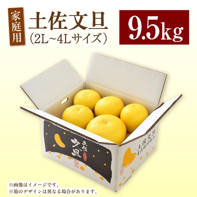 先行予約】生産者直送 土佐文旦 約9.5kg [2L～4L] 家庭用 ＜2027年1月