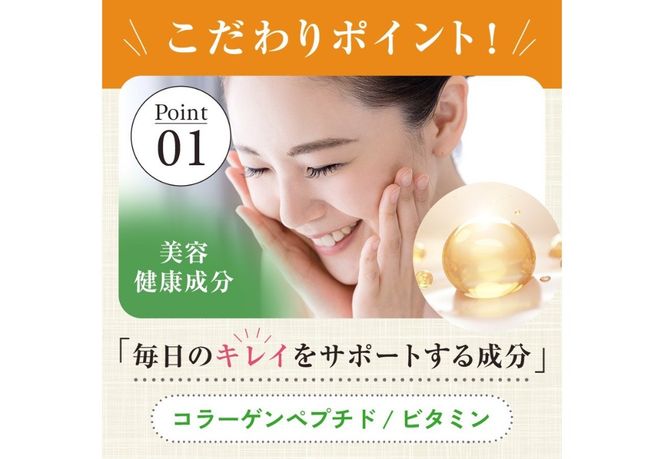 FUJIMI プロテイン コーンクリーム  ダイエット系 健康サポート系  【 選べる容量 10袋 30袋 】　プロテインスープ たんぱく質 ソイプロテイン ミルクプロテイン 温活 置き換え 手軽 山梨 富士吉田