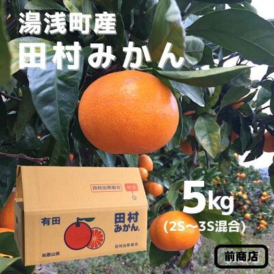 BL6014n_【2026年先行予約】【産地直送】和歌山 湯浅町産 田村みかん 5kg 2S～3Sサイズ混合
