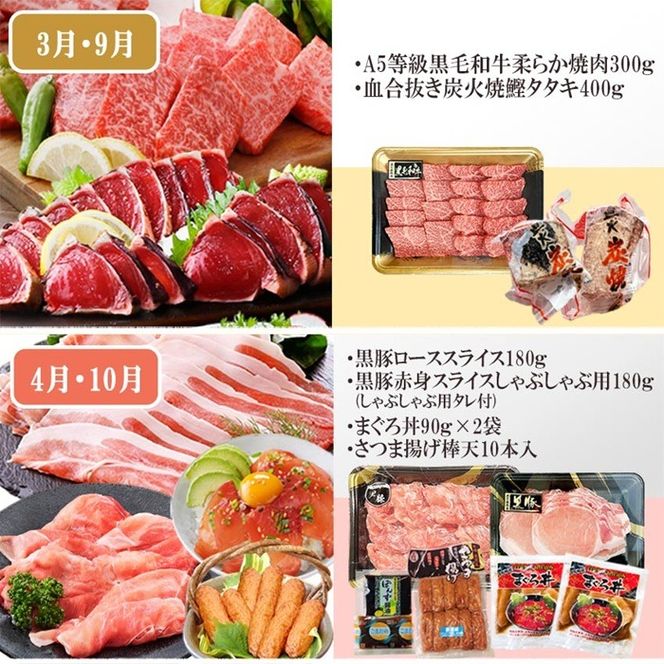 定期便6回配送 【当店限定】ごちそうまんきつセット FF-6004 【1492208】