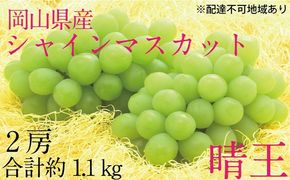 ぶどう 2026年 先行予約 シャイン マスカット 晴王 2房（合計約1.1kg） ブドウ 葡萄  岡山県産 国産 フルーツ 果物 ギフト デザート 食後 酸味が少ない 産地直送
