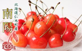 先行受付 北海道 仁木町産 さくらんぼ 南陽 1440g（180g×8パック）旬 厳選 蓋つき お裾分け おすすめ 美味しい  サクランボ チェリー フルーツ 果物 果物類  仁木町 仁木 [JA新おたる] 