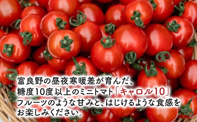 【2026年7月～発送】訳あり 富良野産 採れたて直送! ミニトマト キャロル10 【約3kg】 (清水farm) トマト ミニトマト とまと 野菜 新鮮 甘い 季節限定 北海道 富良野 ふらの