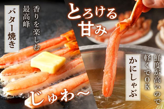 鮮度抜群！お刺身でも食べられる！生本ズワイガニ棒肉ポーション　1パック カニポーション カニ脚 カニ刺し かにしゃぶ しゃぶしゃぶ 生食　YK00617