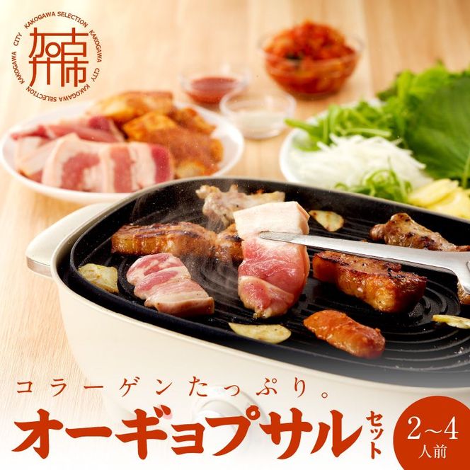【コラーゲンたっぷり！】オーギョプサル(皮付豚肉)味噌・塩セット(2～4人前)《 肉 豚肉 豚 オーギョプサル 自家製キムチ 巻き野菜付き セット 》【2302A09911】