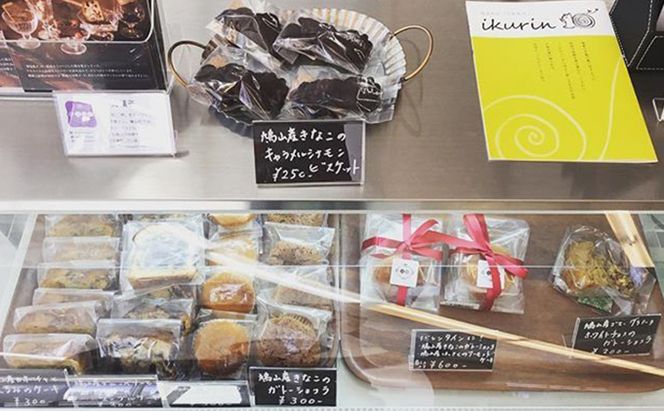 鳩山町コミュニティ・マルシェ用クーポン券（6,000円分） 地域のお買い物券 食事 買い物 
