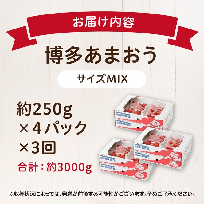 【定期便／3ヶ月連続お届け】大人気のあまおう 250g×4パック 計3回 総量3.0kg 3ヶ月定期便 福岡県産いちご【JAほたるの里】_HB0032