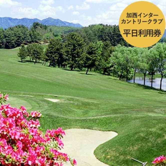 オーダーゴルフグローブ プレミアム × 平日1日ゴルフプレー利用券　加西インターカントリークラブ【姫路市 × 加西市 共通返礼品】 ゴルフ場利用券 チケット ゴルフグッズ ゴルフコース スポーツ