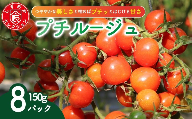 ミニ トマト プチルージュ 150g × 8パック 野菜 やさい 新鮮 旬の野菜 産地直送 高糖度 甘い プチ フルーツ ソース ジュース ケチャップ に 静岡県 藤枝市
