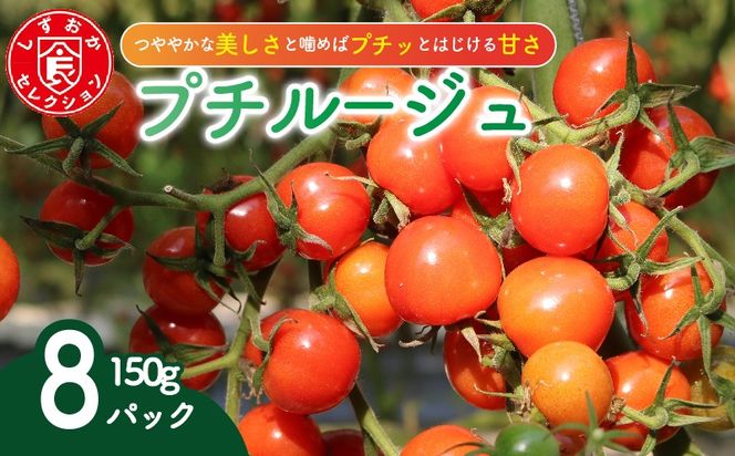 ミニ トマト プチルージュ 150g × 8パック 野菜 やさい 新鮮 旬の野菜 産地直送 高糖度 甘い プチ フルーツ ソース ジュース ケチャップ に 静岡県 藤枝市 