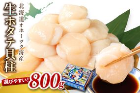 【2026年1月発送】北海道オホーツク海産 ホタテ貝柱 800g 生食用 ( 海鮮 魚介 魚介類 貝 貝類 帆立 ほたて お刺身 刺身 貝柱 海鮮丼 帆立貝柱 ホタテ )【037-0016】