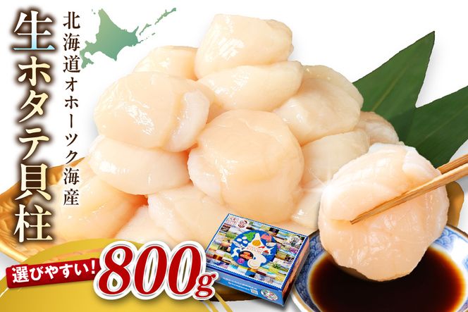 ykCkszy2025N12zkCIz[cNCY z^eL 800g Hp ( CN   L L  ق hg hg L CN L z^e )y037-0016z