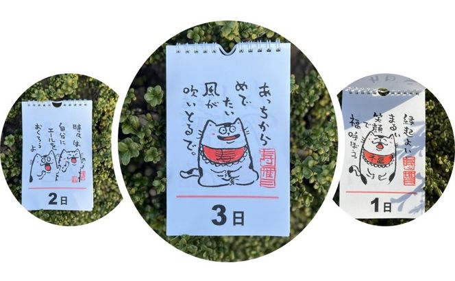 元気のでる日めくりカレンダー 日めくり カレンダー 壁掛け 猫 イラスト イラストレーター 田渕雄三 岡山 高梁市